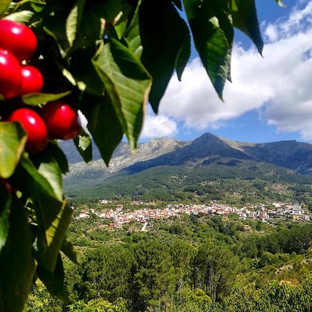 Albareilla By #Cherrygredos Эль-Ареналь Экстерьер фото