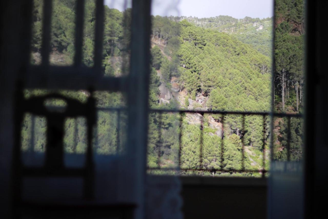 Albareilla By #Cherrygredos Эль-Ареналь Экстерьер фото