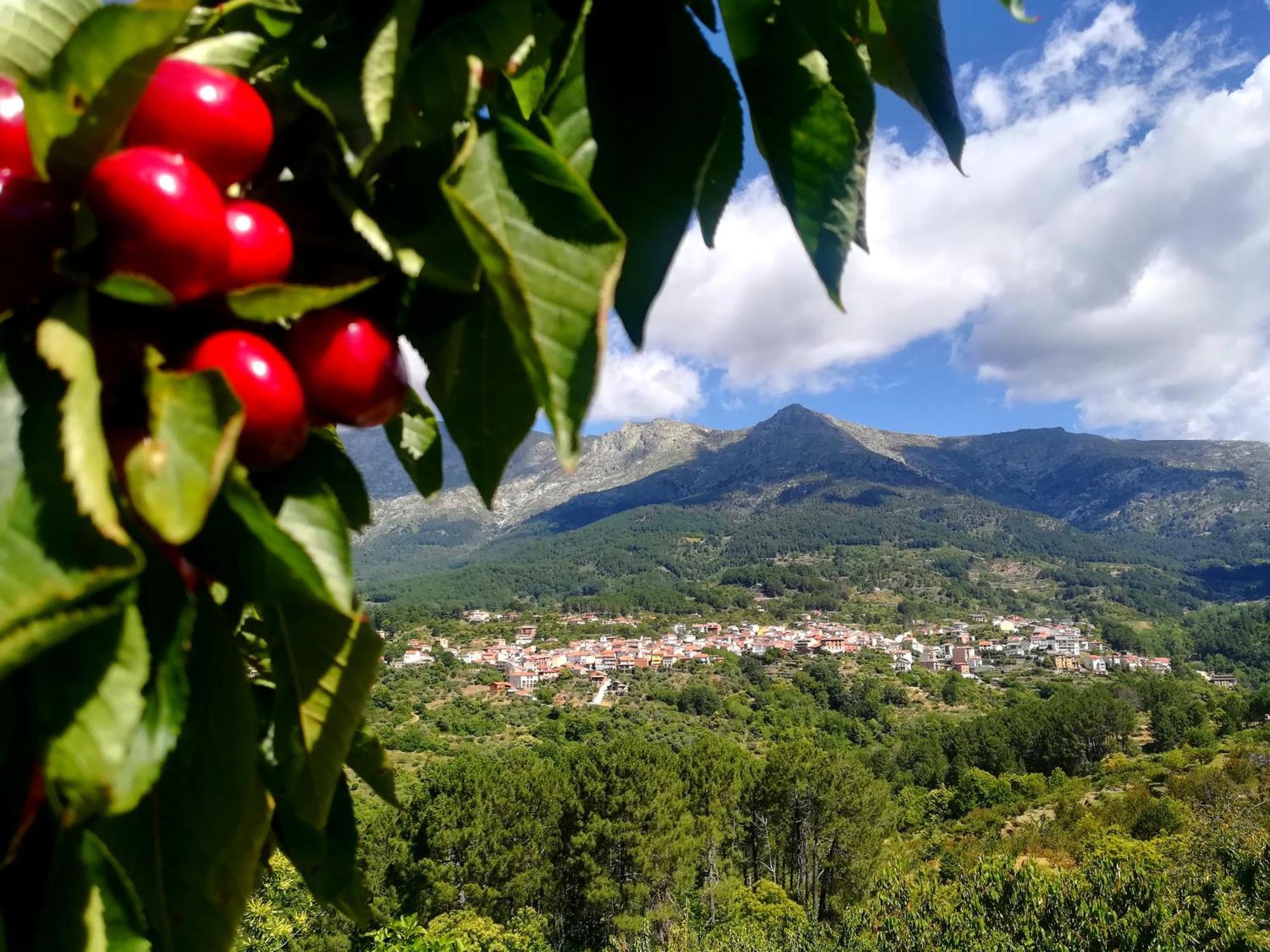Albareilla By #Cherrygredos Эль-Ареналь Экстерьер фото