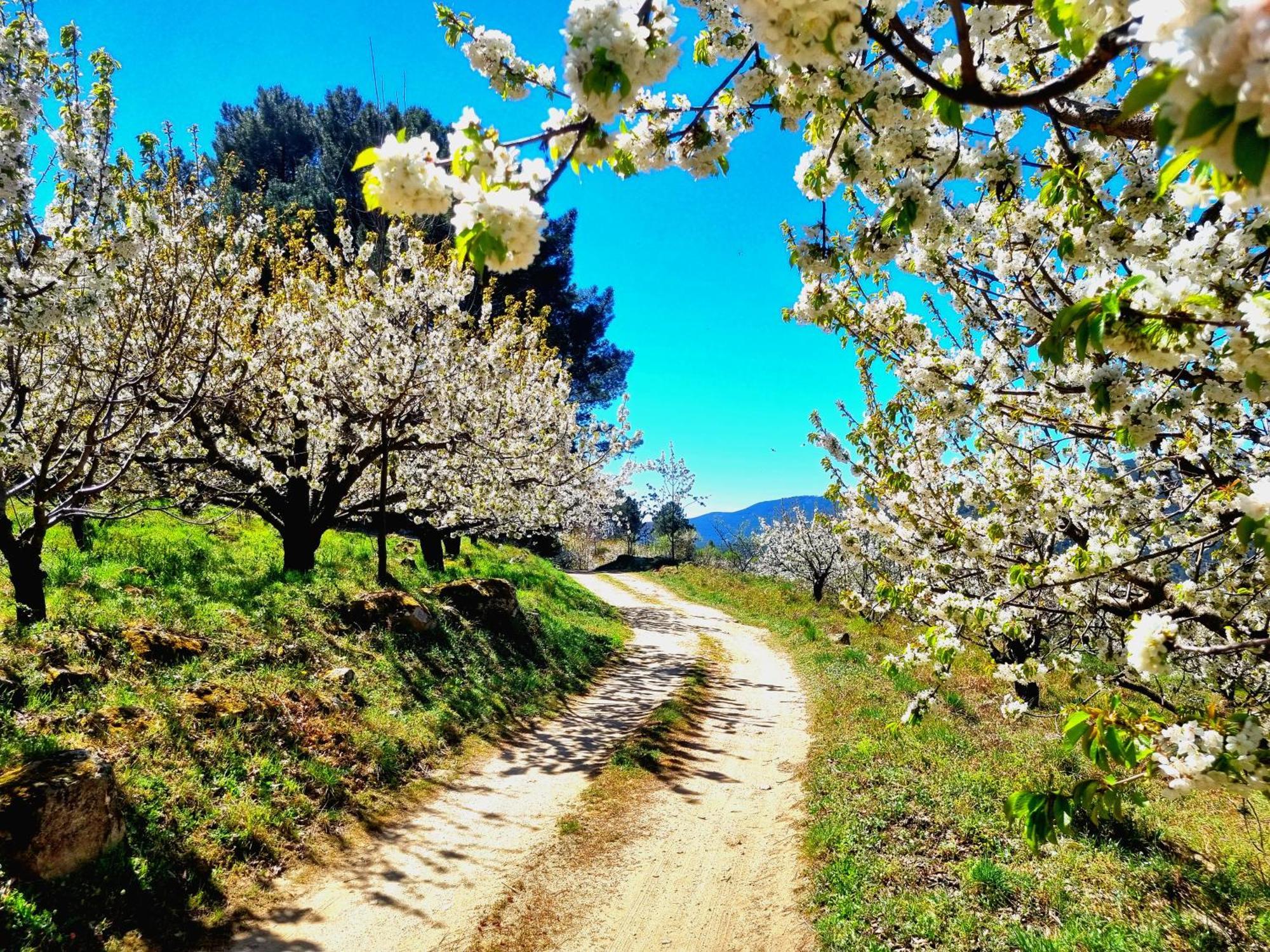 Albareilla By #Cherrygredos Эль-Ареналь Экстерьер фото