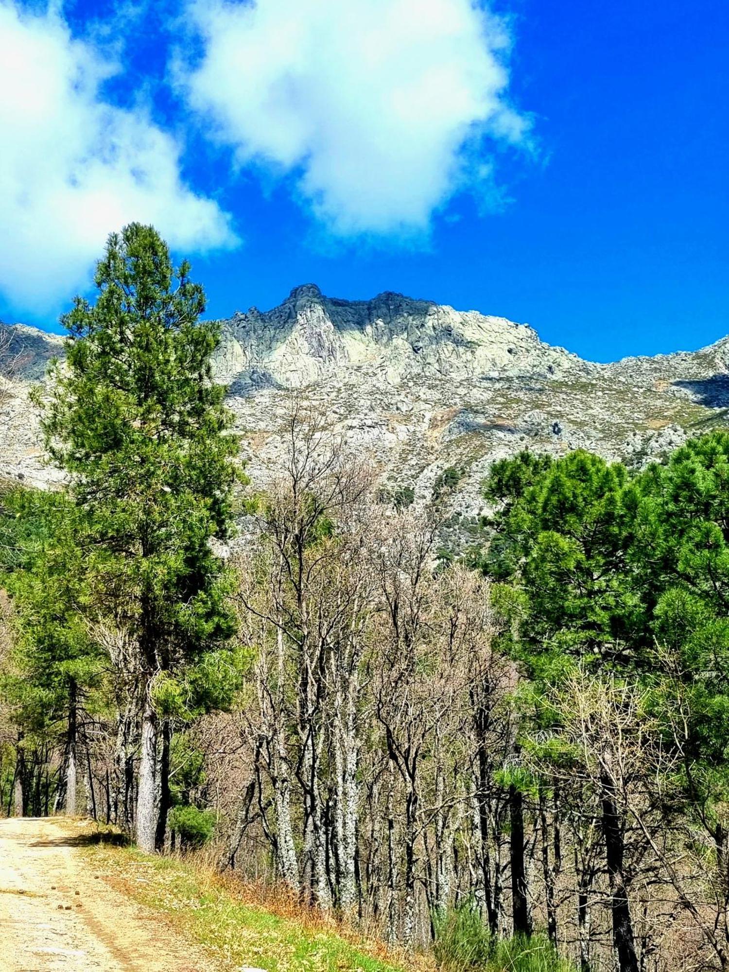 Albareilla By #Cherrygredos Эль-Ареналь Экстерьер фото